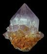 Cactus Quartz (Amethyst) Crystal Cluster - South Africa #64218-1